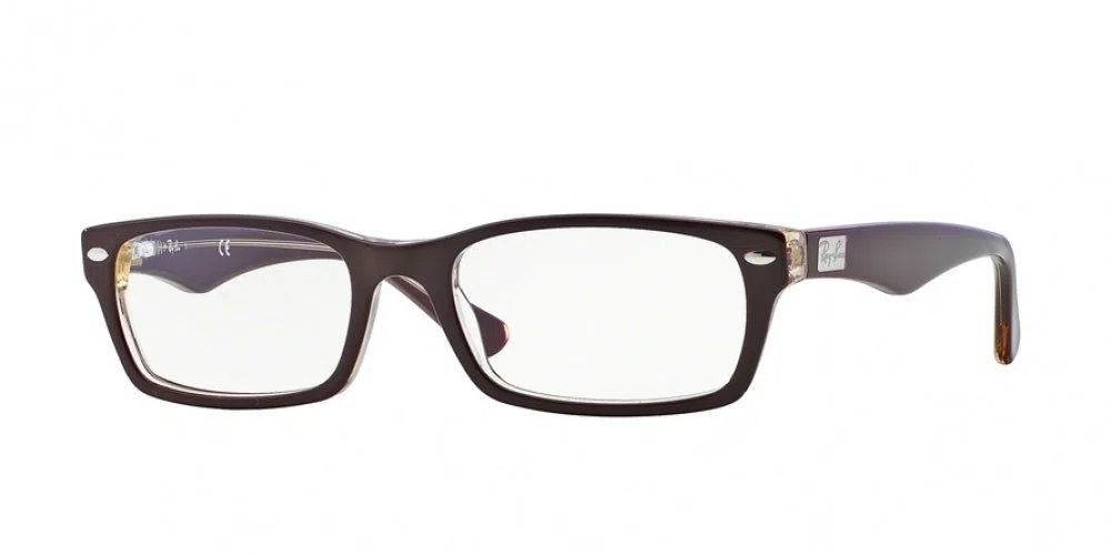 Ray-Ban 5206 Eyeglasses - view 9